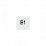 Type B1