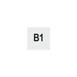 Type B1