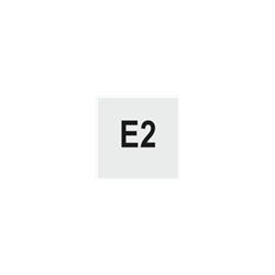 Type E2