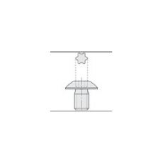 Trasco torx boutje M4,0 x 5,9 grote kop (per stuk)