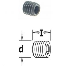 Inbusbout (voor art 364), M5x5 mm.