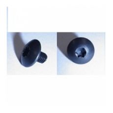 Torx boutje M4 x 6 x 8,2 mm. T15