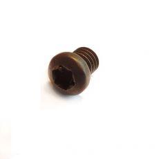 Torx boutje M4 x 4 x 6,2 mm.