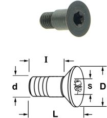 Conische torx bout met zitting
